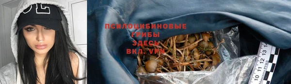 гидра Балабаново