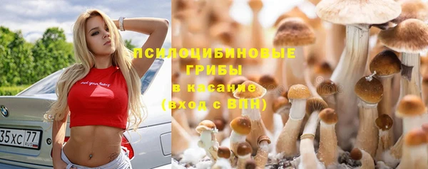 не бодяженный Баксан